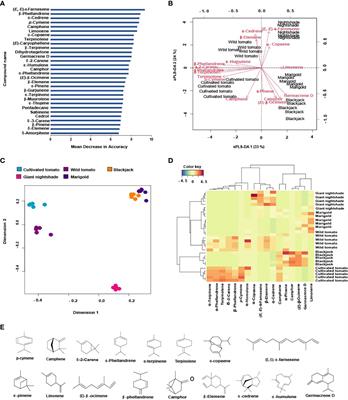 Non-host plant odors influence the tritrophic interaction between tomato, its foliar herbivore Tuta absoluta and mirid predator Nesidiocoris tenuis